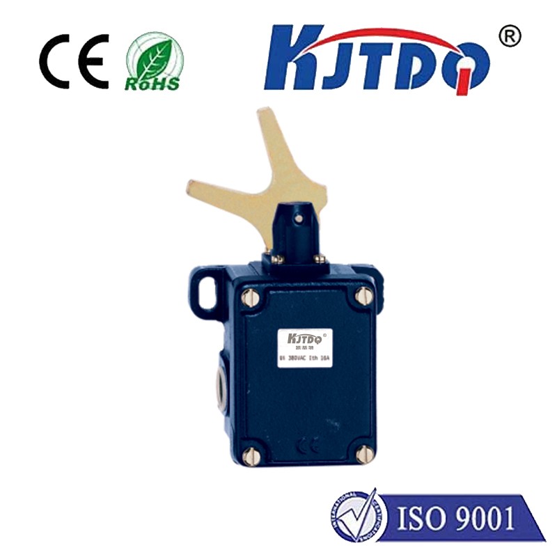 KJT-M2C 441-11Y Heavy Duty Travel Limit Switch